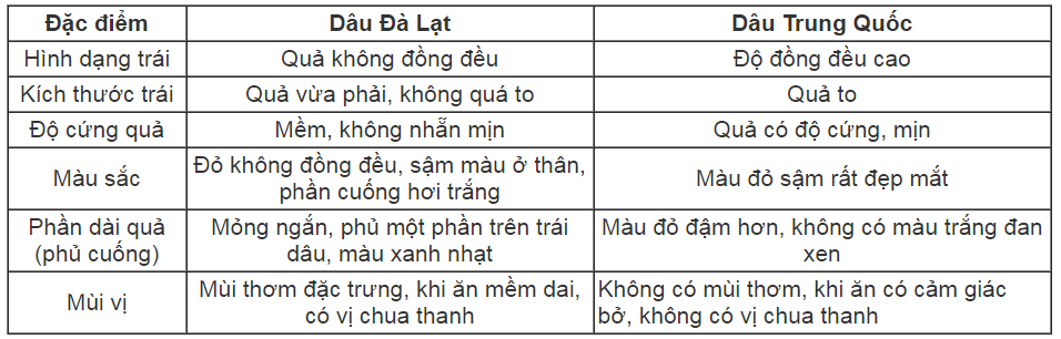 Mua dâu tây Đà Lạt