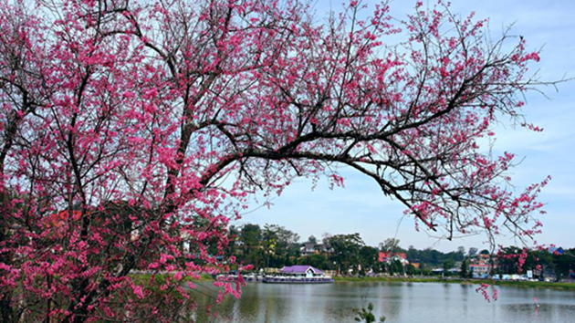 đặt phòng khách sạn gần Hồ Xuân Hương Đà Lạt