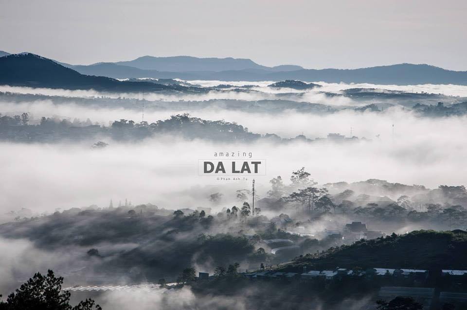 Công ty du lịch uy tín Đà Lạt