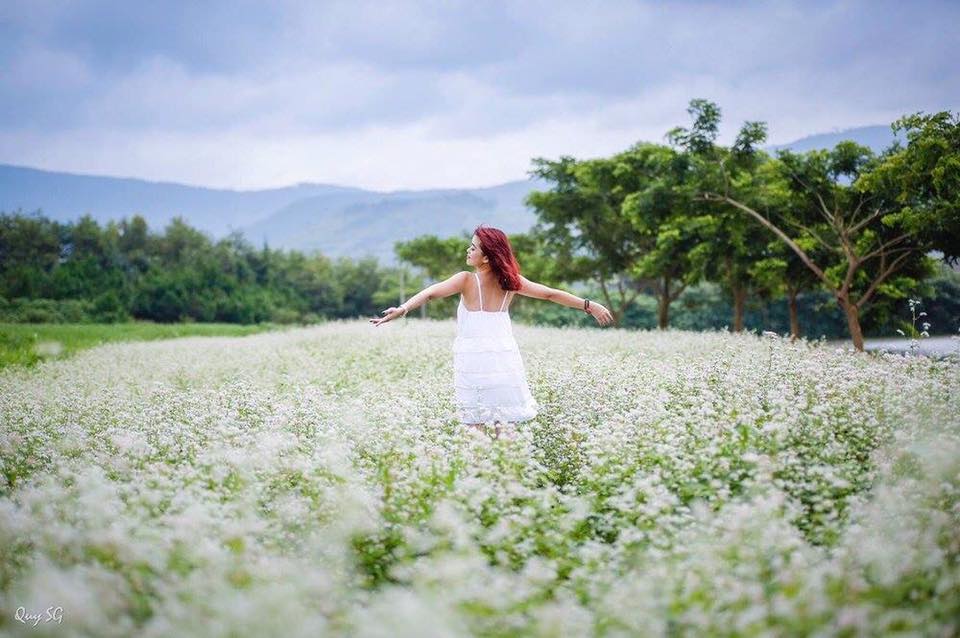 Đà Lạt Milk Farm giờ mở cửa