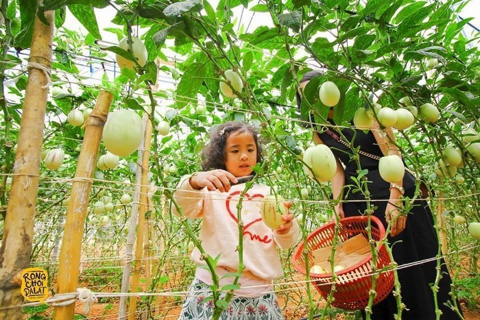 Du lịch nhà vườn