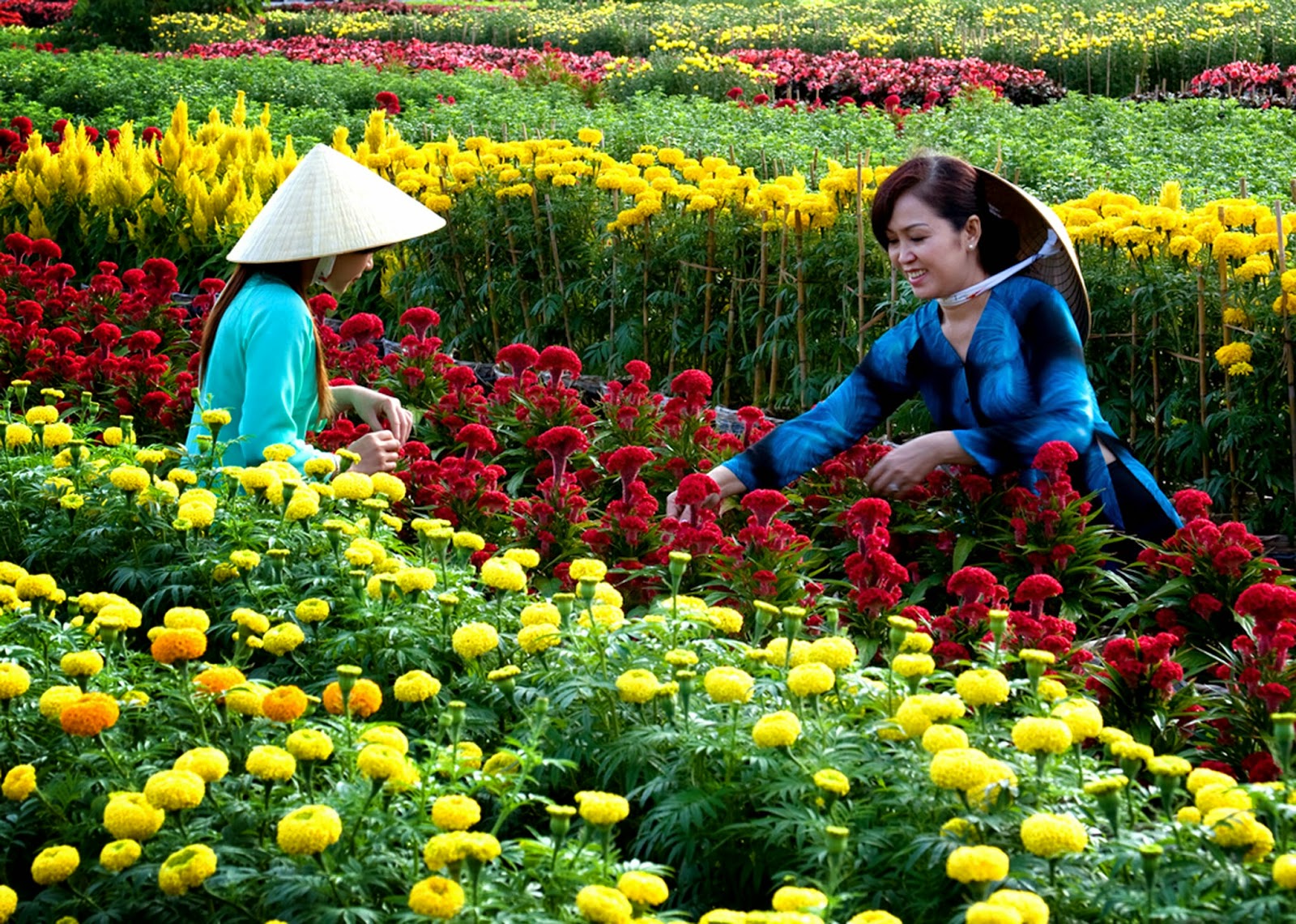 du lịch văn hóa Đà Lạt