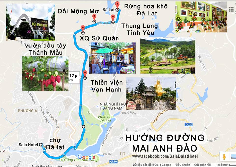 Đường đến Đồi Mộng Mơ Đà Lạt