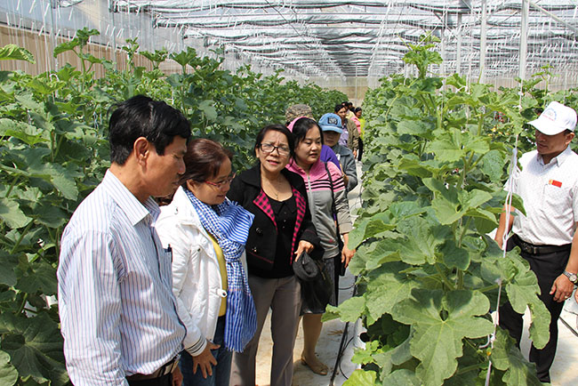 Giá vé tour tham quan chụp ảnh Đà Lạt