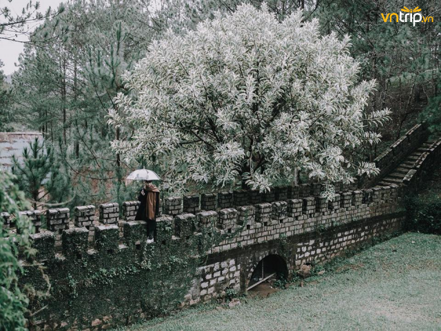 Khu du lịch đồi Mộng Mơ Đà Lạt