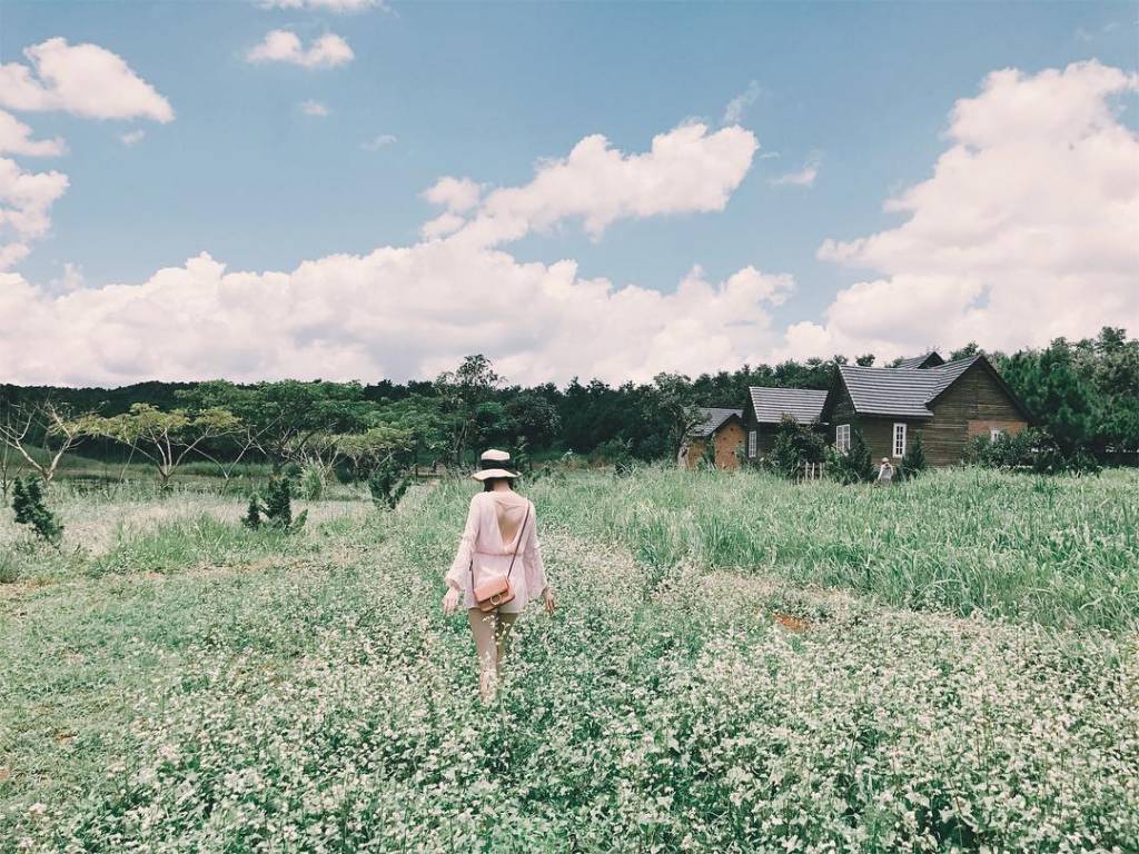 Kinh nghiệm đi Đà Lạt milk Farm