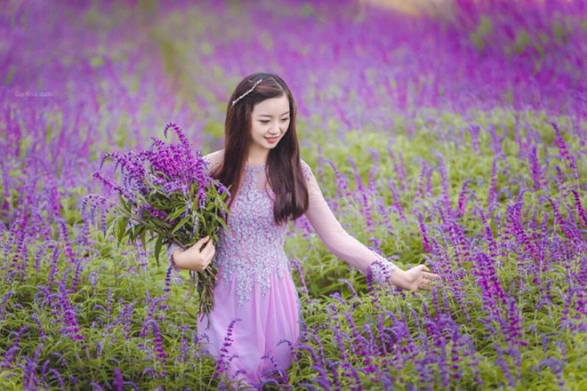 Lịch trình tour tham quan chụp hình