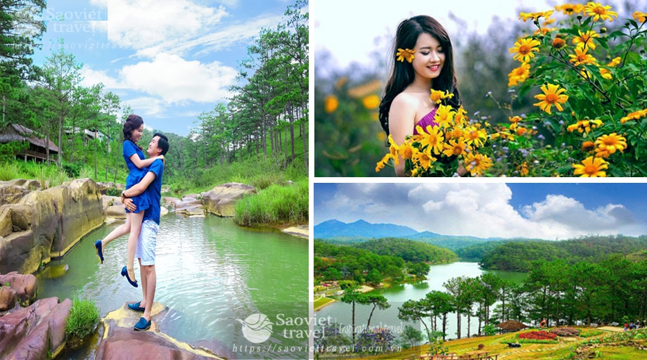 Mùa hoa Đà Lạt tháng 9