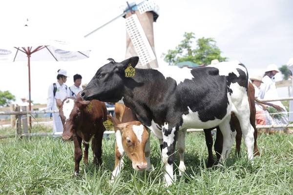 Tham quan Organic Đà Lạt