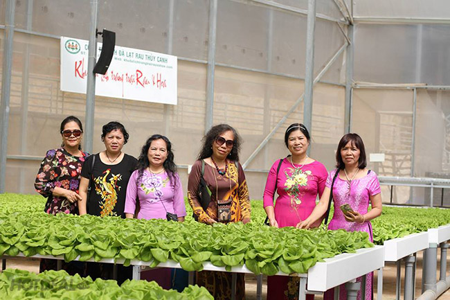Tham quan vườn rau sạch