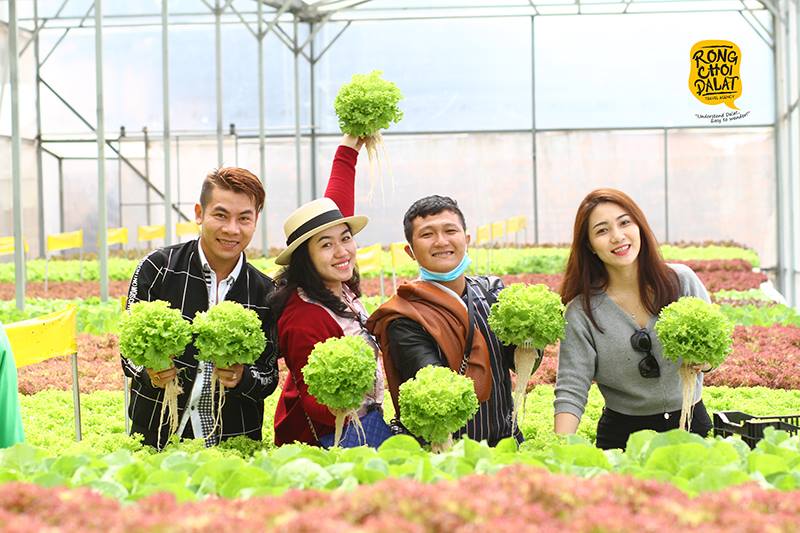 Tour du lịch nhà vườn Đà Lạt