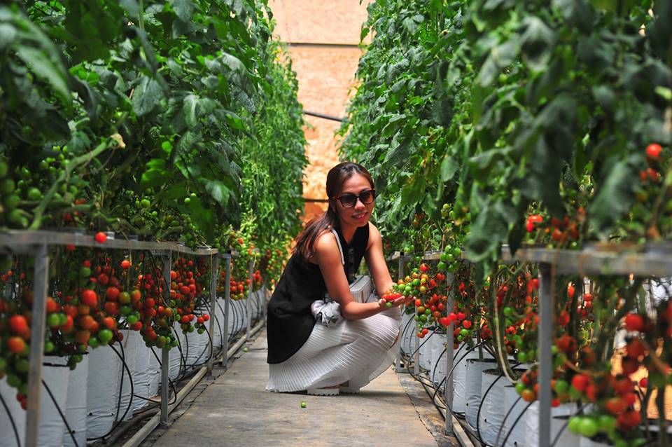 Tour du lịch nhà vườn tại Đà Lạt
