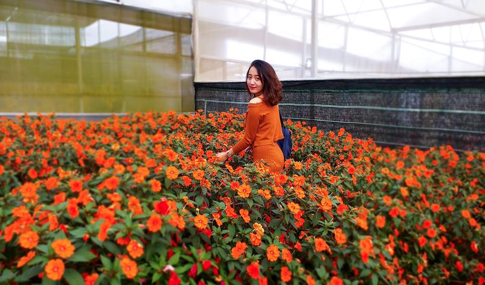 Tour du lịch văn hóa