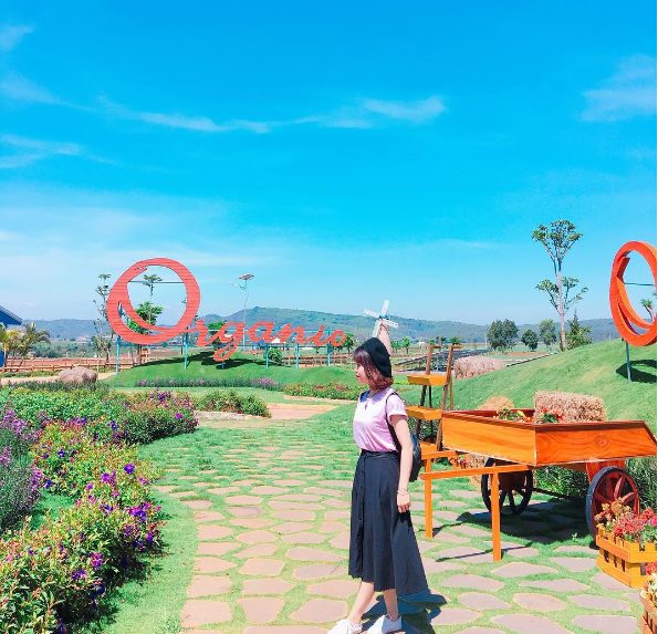 trang trại bò sữa Organic Đà Lạt