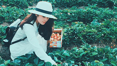 Giá vé tham quan Đà Lạt 2018