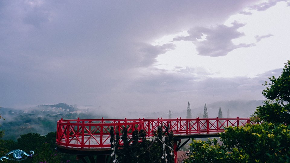 Hướng dẫn đường đi cà phê Đà Lạt view