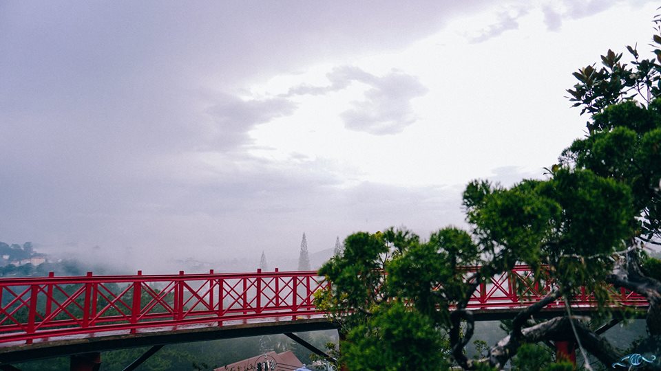 Quán cafe Đà Lạt view