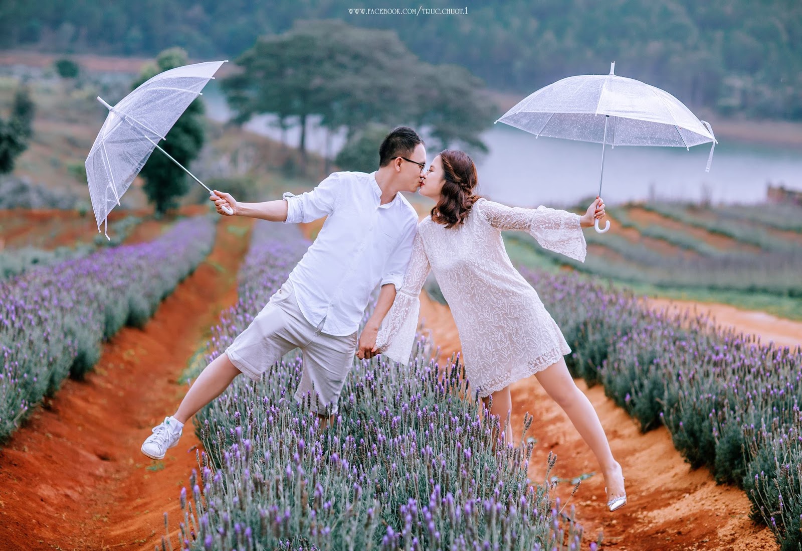 Cánh đồng hoa oải hương Đà Lạt