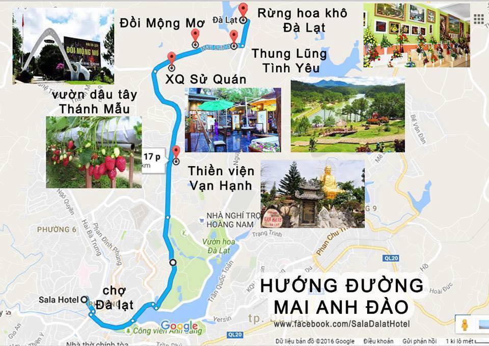 Đường đi rừng hoa Đà Lạt