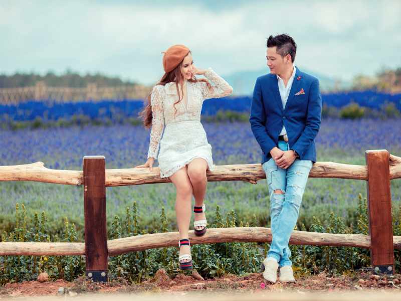 Hoa lavender Đà Lạt nở vào tháng mấy