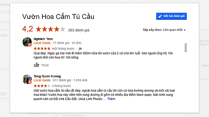 review Vườn hoa cẩm tú cầu Đà Lạt