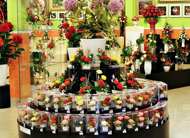 Rừng hoa Đà Lạt mai anh đào