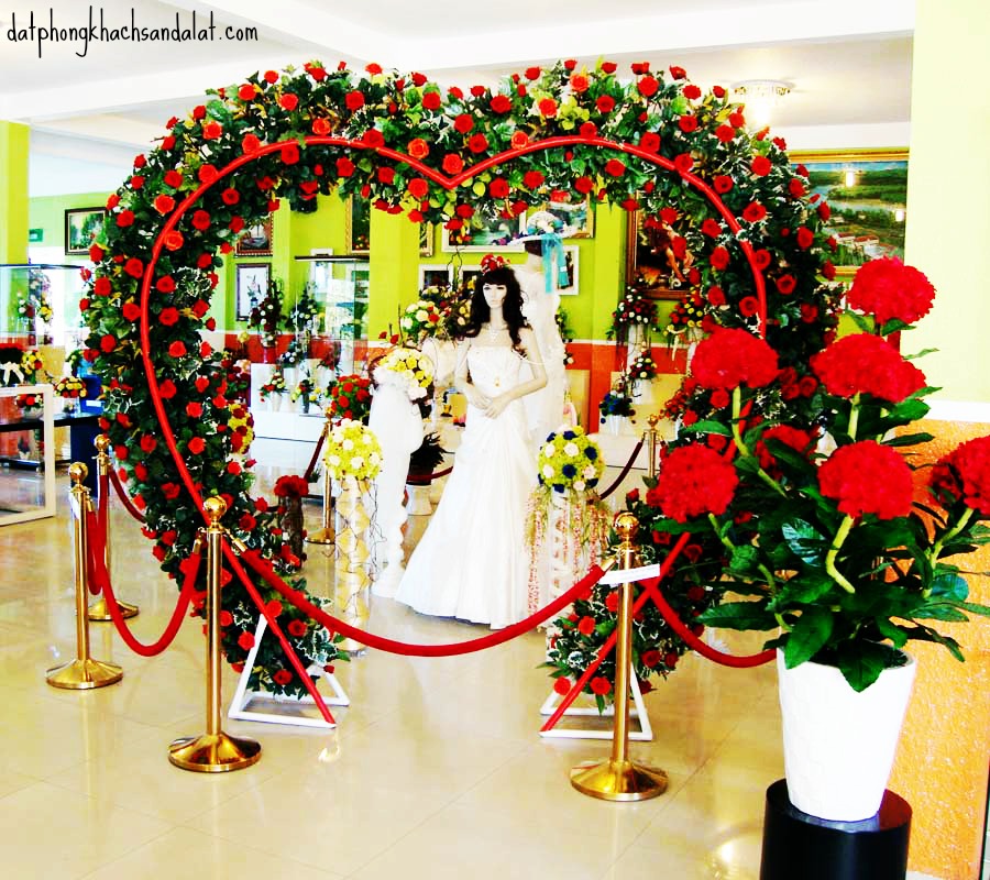 Rừng hoa khô Đà Lạt