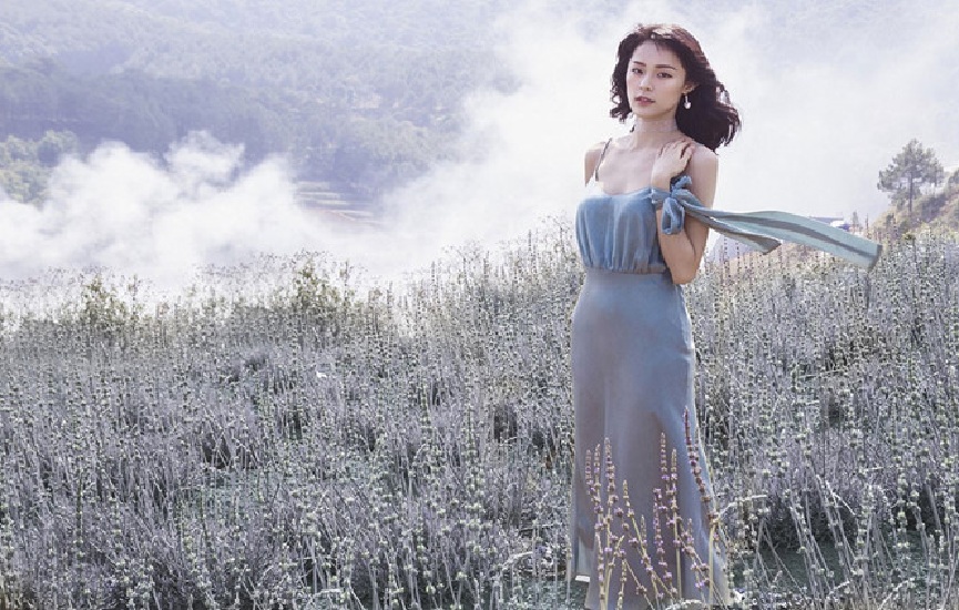 Vườn hoa Lavender Đà Lạt ở đâu