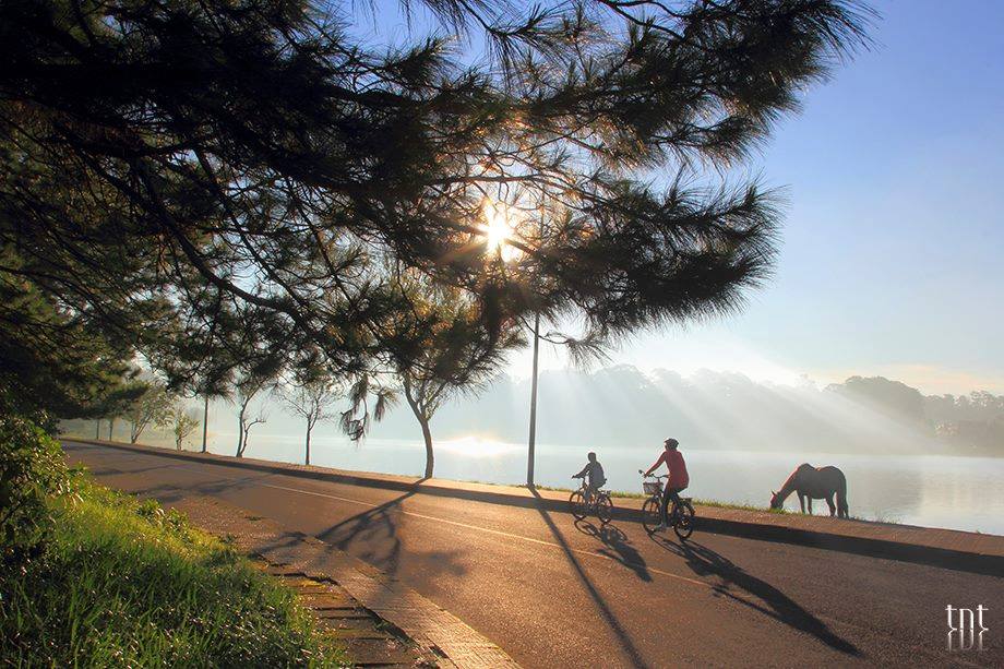 Có nên phượt Đà Lạt hay không
