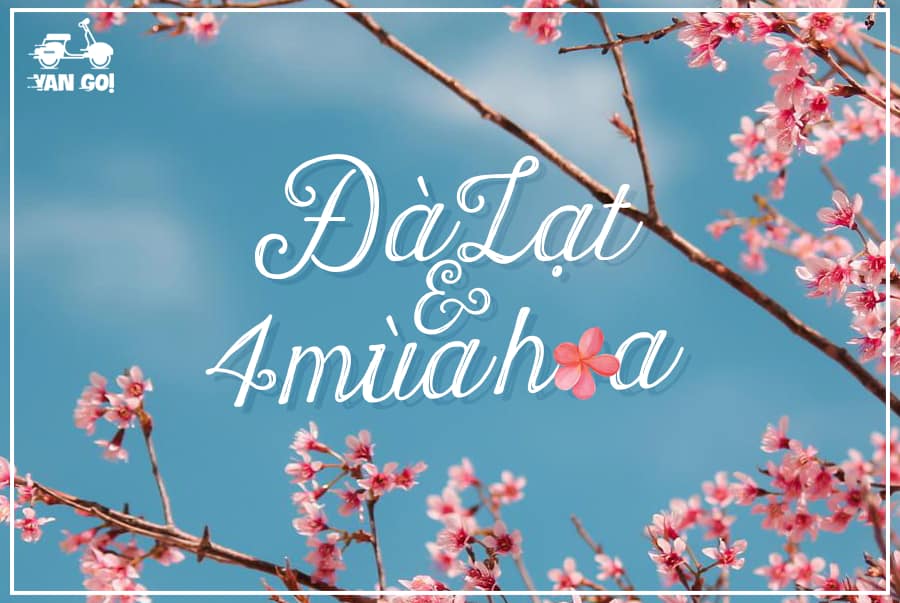 Phượt Đà Lạt mùa nào đẹp nhất