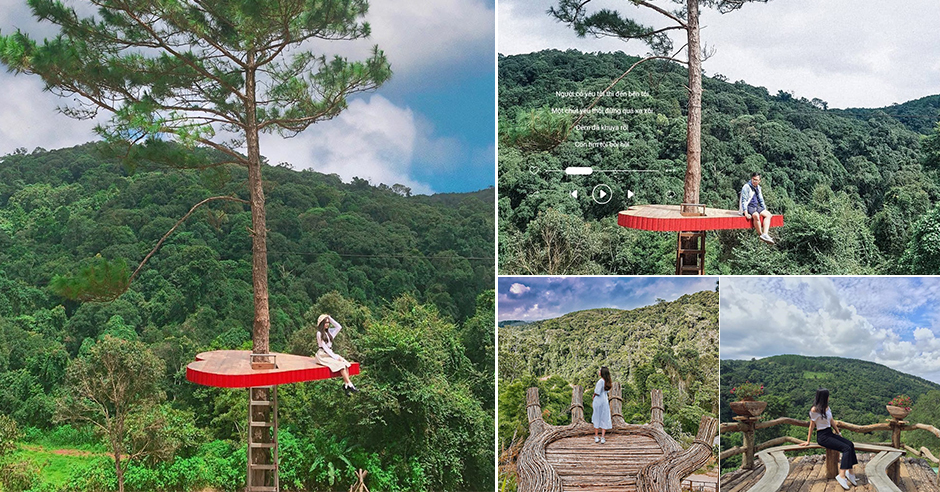 Thời gian bắt đầu tour đồi cỏ hồng Đà Lạt
