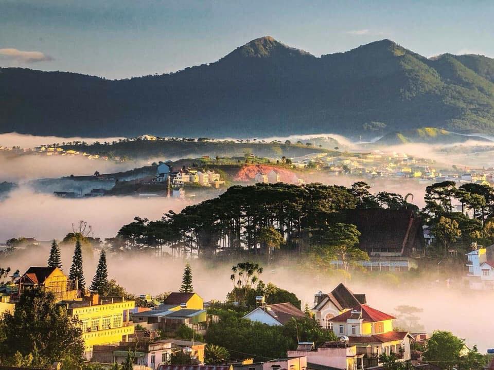 Tour 1 ngày 1 đêm giá rẻ