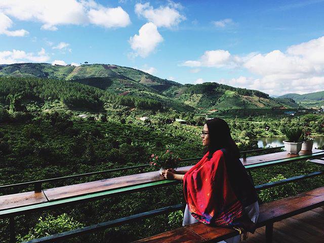 Tour đi đồi cỏ hồng Đà Lạt
