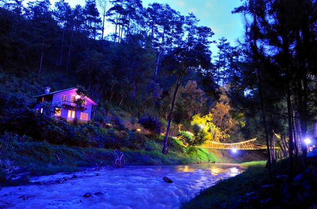Tour đi đồi cỏ hồng