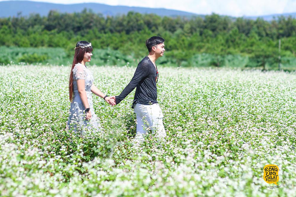 Tour đồi cỏ hồng ở Đà Lạt