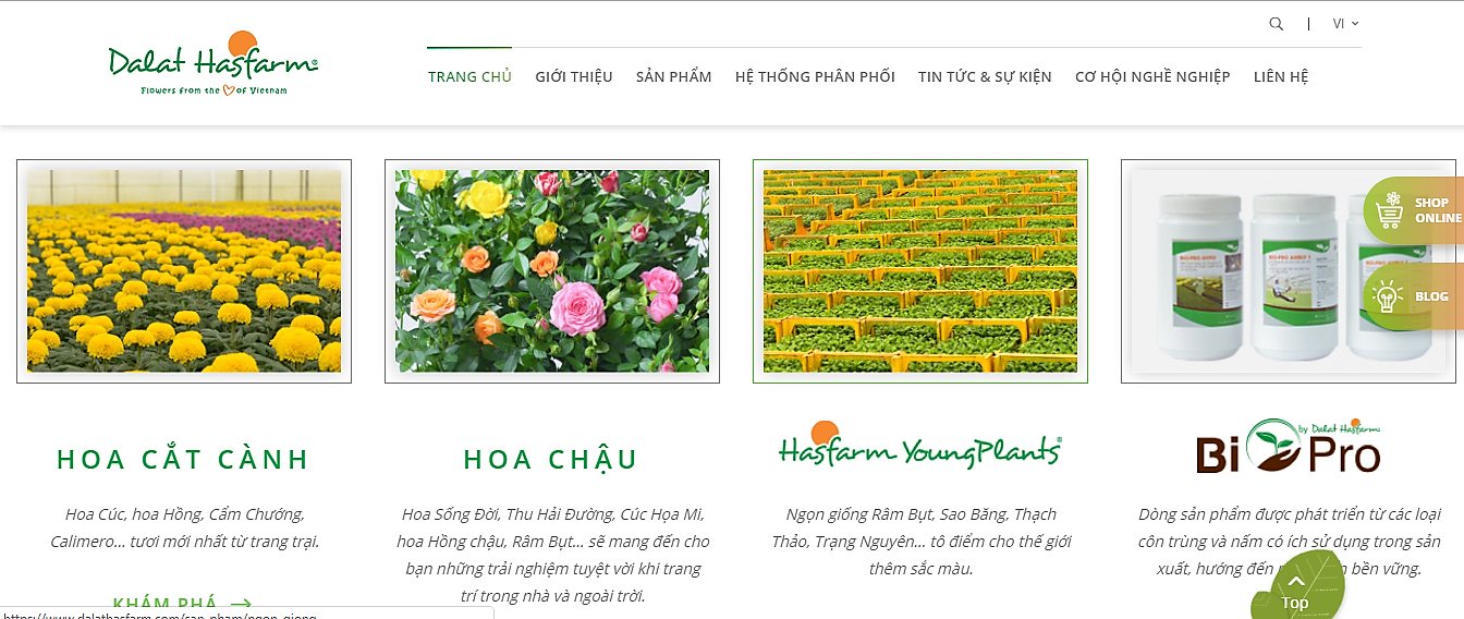 Dịch vụ thiết kế Web Đà Lạt