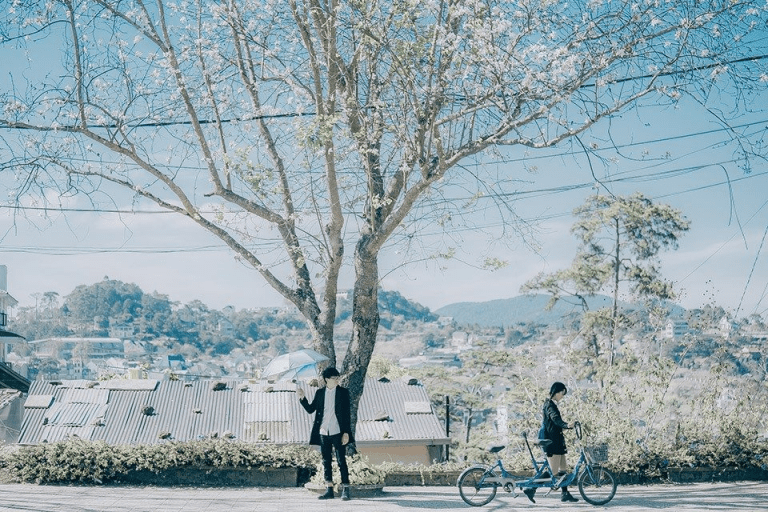 Check in Đà Lạt 2019