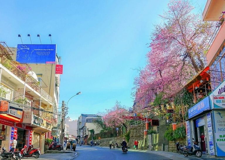 Check in ở Đà Lạt