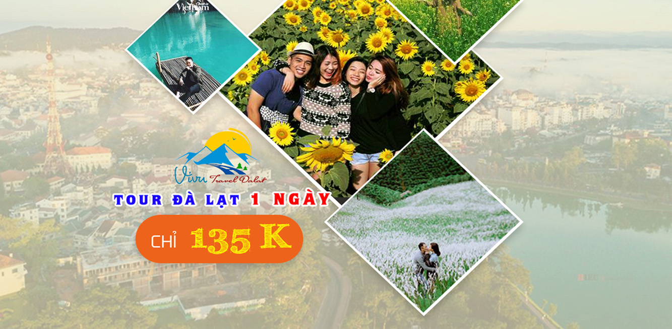 Cho thuê nhà nguyên căn Đà Lạt du lịch Đà Lạt 1 ngày