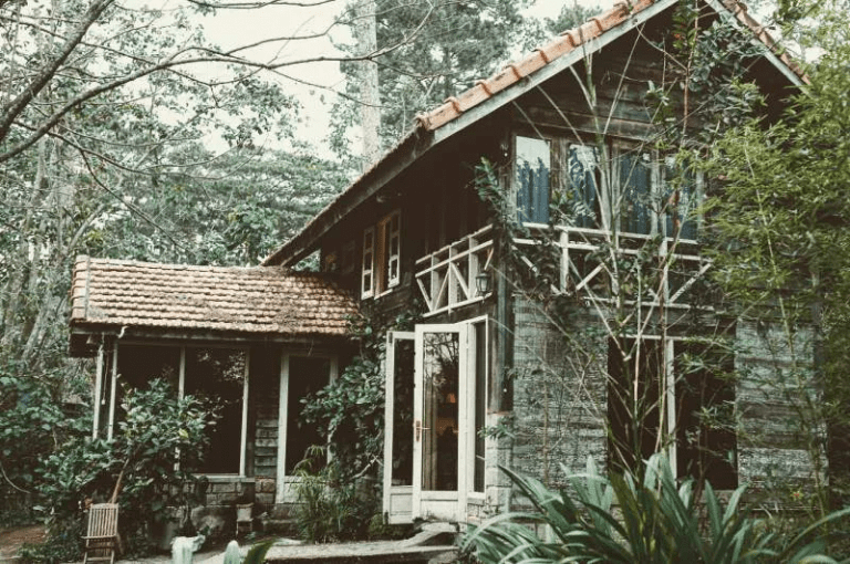 Chụp hình chất ở Đà Lạt