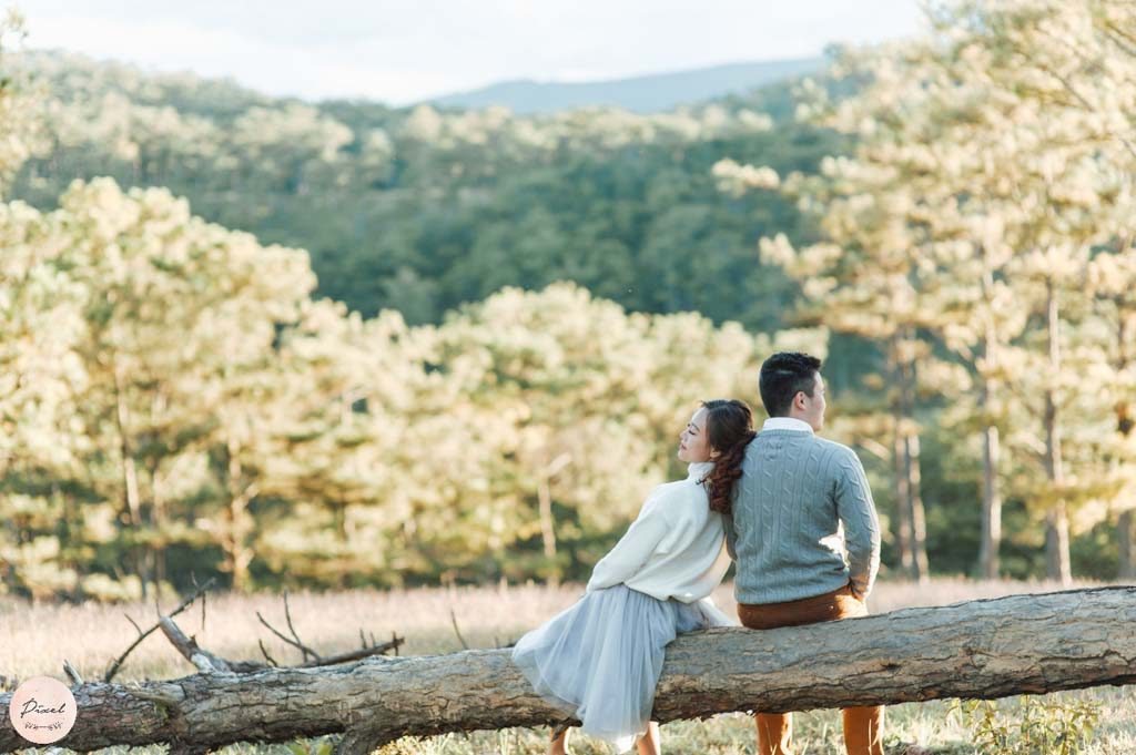 Đồi thông chụp ảnh cưới Đà Lạt