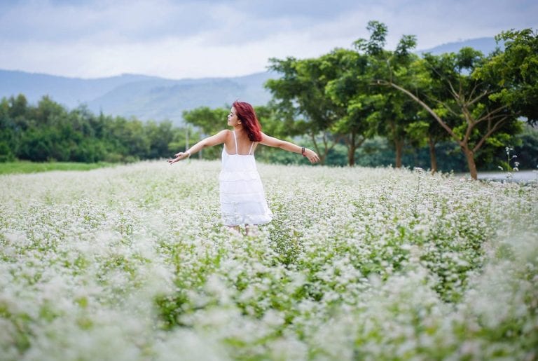 Kinh nghiệm du lịch tại Đà Lạt