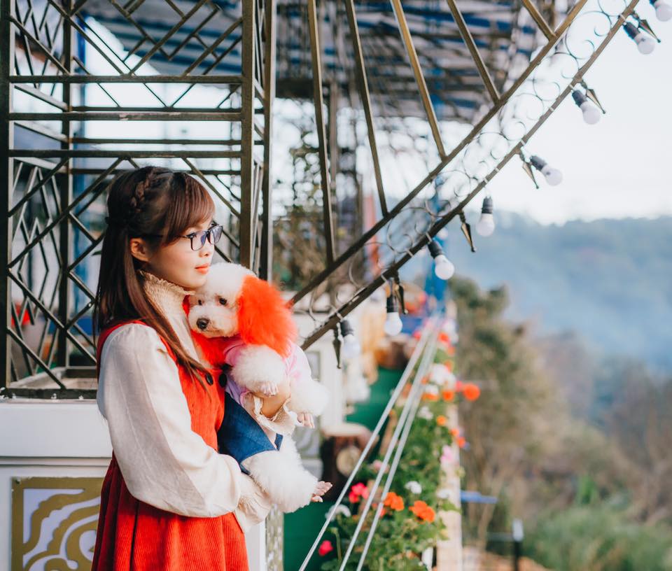 Tour Harizon Đà Lạt