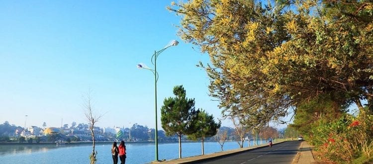 Trách nhiệm xã hội của hoa dalat travel