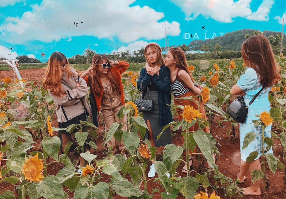 Tour ghép đoàn ở Đà Lạt