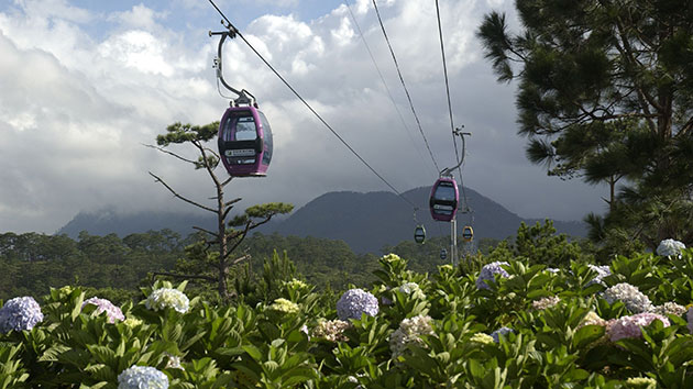 Thông tin liên hệ Cáp Treo Đà Lạt
