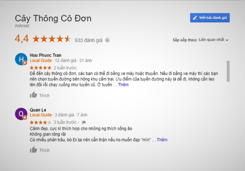 đánh giá cây thông cô đơn Đà Lạt