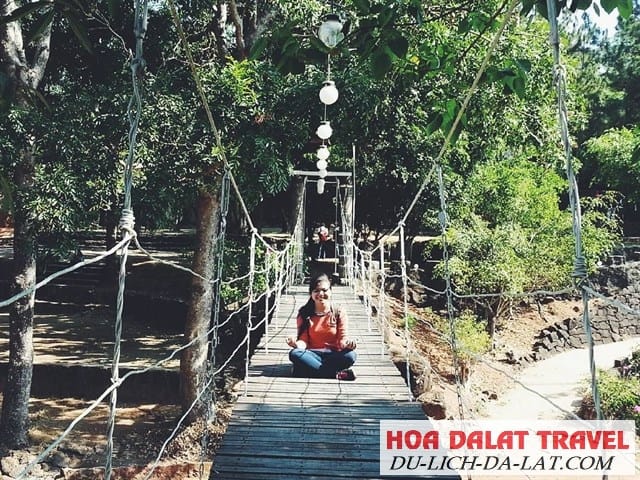 Giới thiệu về Ma Rừng Lữ Quán