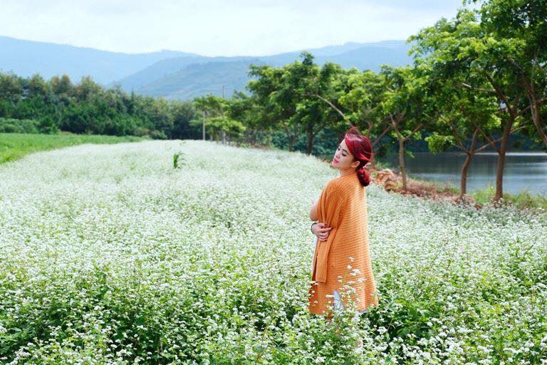 hình ảnh các loài hoa