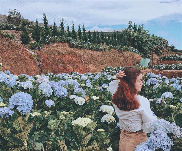 hình ảnh chụp ở Trại Mát